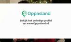 Bodil zoekt een oppas in Hilversum voor 2 kinderen., Vacatures, Vacatures | Vakantiewerk