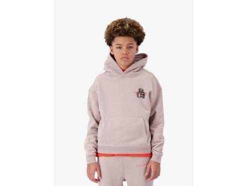 Veiling - Black Bananas JR. 3D Hoodie (Maat 140), Kleding | Heren, Truien en Vesten, Nieuw