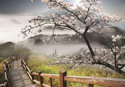 Cherry blossom fotobehang Misty Mountains, Ook op maat!, Huis en Inrichting, Stoffering | Behang, Ophalen of Verzenden