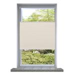 vidaXL Plisséjaloezie 60x125 cm crème, Verzenden, Nieuw, Crème