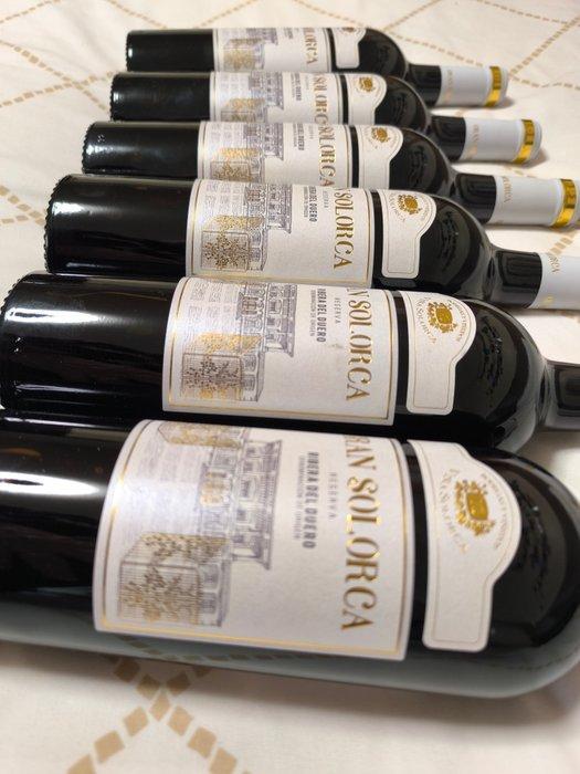 2020 Viña Solorca, Gran Solorca - Ribera del Duero Reserva -, Verzamelen, Wijnen