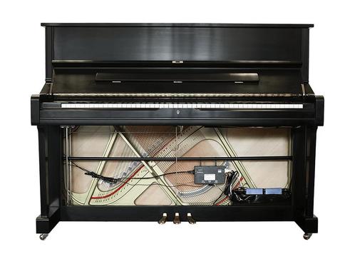 Piano Life Saver System 5PS dampp chaser / luchtbevochtiger, Muziek en Instrumenten, Overige Muziek en Instrumenten