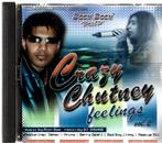 Crazy Chutney Feelings Vol. 2, Cd's en Dvd's, Verzenden, Zo goed als nieuw