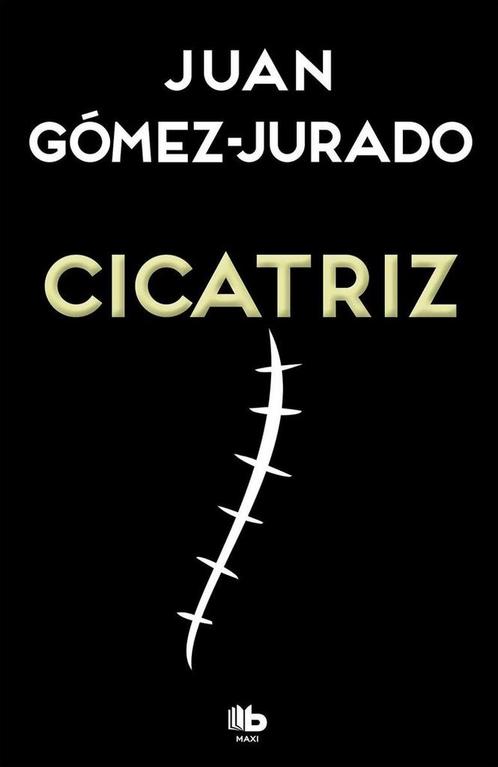 Cicatriz 9788490704059 Juan Gómez-Jurado, Boeken, Overige Boeken, Gelezen, Verzenden
