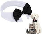 Luxe honden- of kattenstrik met wit boord en zwarte strik, Verzenden, Nieuw
