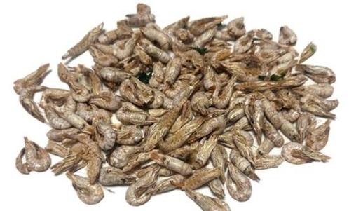 Hollandse Garnaaltjes ongeveer 60 gram, Dieren en Toebehoren, Dierenvoeding