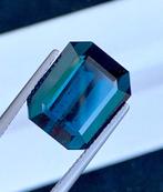 Zonder minimumprijs - 1 pcs Groen, Blauw Toermalijn - 13.54, Nieuw