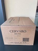2023 Marchesi Antinori, Cervaro della Sala - Umbrië IGT - 6, Verzamelen, Wijnen, Nieuw