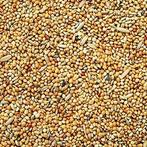 Parkietenzaad  5 kg - Versele laga, Dieren en Toebehoren, Verzenden, Nieuw