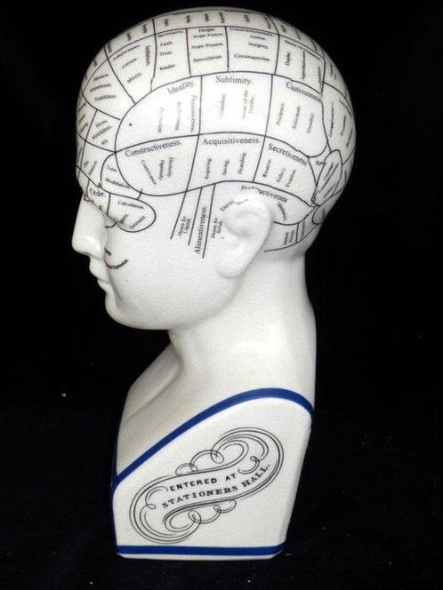 Hoofd ornament - Model Phrenology Hoofd - Dr. L.N.Fowler, Antiek en Kunst, Kunst | Designobjecten