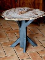 Salontafel - fossiel hout en ijzer, Antiek en Kunst