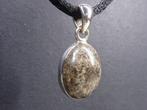 Steen meteoriet NWA 869 Cabochon hanger 925 sterling zilver