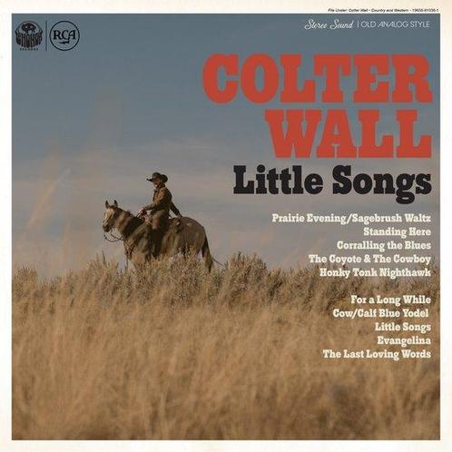Colter Wall - Little Songs (LP), Cd's en Dvd's, Vinyl | Overige Vinyl, Verzenden