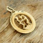 Gouden hanger van het sterrenbeeld tweelingen, Ophalen of Verzenden, Gebruikt, Goud, Overige merken
