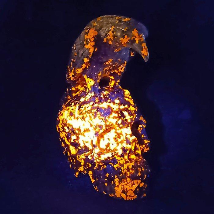 Beeldhouwwerk van de Raaf op een schedel, met de hand, Verzamelen, Mineralen en Fossielen