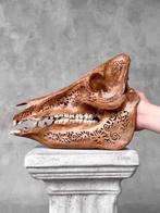 Geen minimumprijs - Adembenemende met de hand gesneden wild, Antiek en Kunst