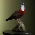 Satyr Tragopaan Taxidermie Opgezette Dieren By Max, Ophalen of Verzenden, Nieuw, Vogel, Opgezet dier
