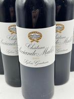 2021 Chateau Sociando Mallet - Haut-Médoc - 6 Flessen (0.75, Nieuw