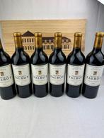 2021 Château Talbot - Bordeaux, Saint-Julien 4ème Grand Cru, Nieuw