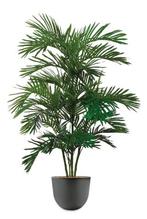 Areca Palm kunstplant, H160cm, Huis en Inrichting, Kamerplanten, Ophalen of Verzenden