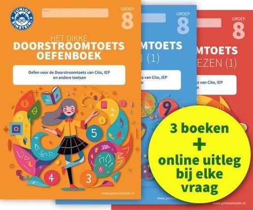9789493218659 Doorstroomtoets Oefenpakket + Online video-..., Boeken, Schoolboeken, Zo goed als nieuw, Verzenden