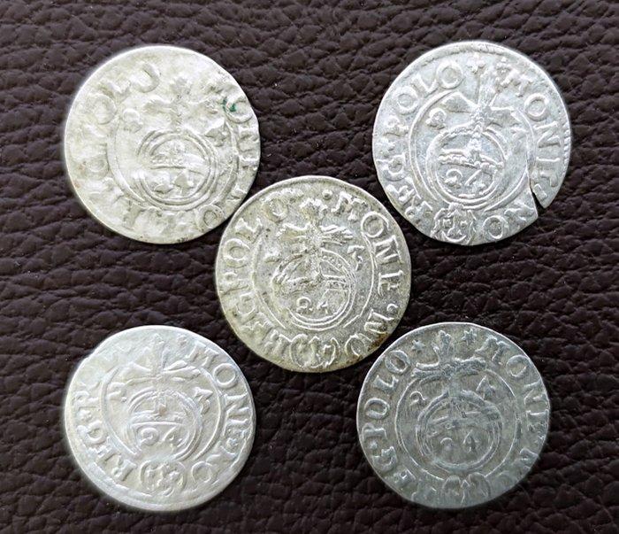 Polen. Sigismund III. Pótorak 5x 1623-1625 (Zonder, Postzegels en Munten, Munten | Europa | Niet-Euromunten