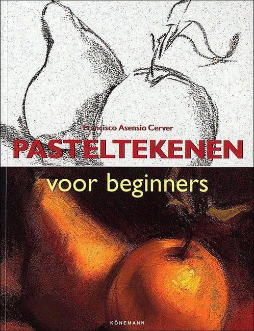 Pasteltekenen Voor Beginners 9783833117336, Boeken, Overige Boeken, Zo goed als nieuw, Verzenden