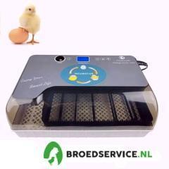 ACTIE - Slimme broedmachine GRATIS broedeieren naar keuze!, Dieren en Toebehoren, Pluimvee | Toebehoren, Broedmachine, Nieuw, Verzenden