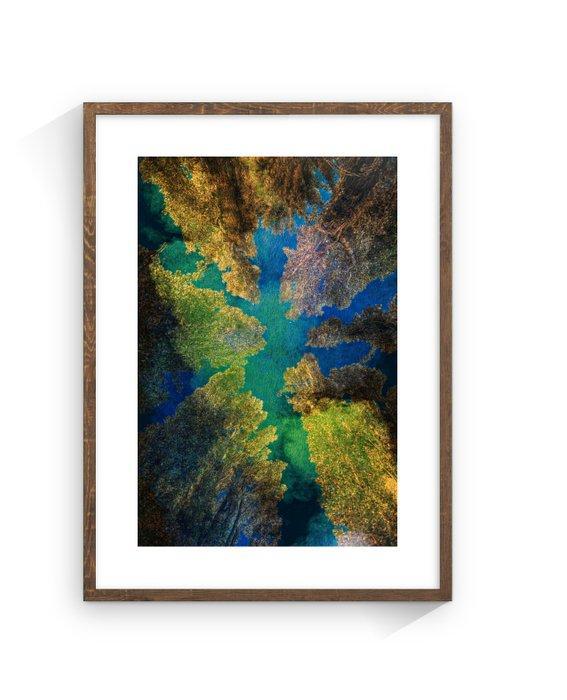 Jaime Oriz - Forest spectrum, Antiek en Kunst, Kunst | Designobjecten