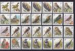 België 1985/2007 - BUZIN-vogels met PREOs, met gom- en, Gestempeld
