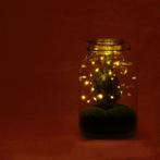 DIY terrarium - Jar Christmas -  28 cm, Verzenden