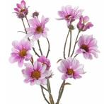 Kunstbloemen takken licht roze magriet 44 cm - Overige kun.., Ophalen of Verzenden