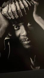 Govert de Roos - Jimmy Cliff, Antiek en Kunst