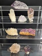 850 g - Fijn kwarts & Amethist collectie – 8 specimens incl.