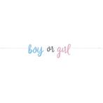 Gender Reveal Slinger Boy Or Girl 2,13m, Hobby en Vrije tijd, Verzenden, Nieuw
