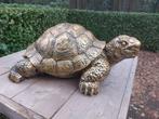 Beeld, sculpture large turtle 57 cm length in bronze color -, Antiek en Kunst, Kunst | Designobjecten