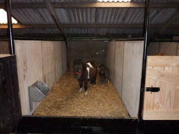 houten schotten paardeboxen stalwanden hoefslagrand  damwand, Doe-het-zelf en Verbouw, Hout en Planken, Overige houtsoorten, Minder dan 200 cm