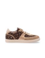 Floris van Bommel sneakers/lage-sneakers dames 38 bruin, Kleding | Dames, Schoenen, Floris van Bommel, Verzenden, Nieuw, Bruin