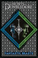 Poster Fantastic Beasts Dumbledore vs Grindelwald 61x91,5cm, Verzenden, Nieuw, A1 t/m A3