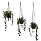 Voordeelset van 3 Plantenhangers - Jute - 80, 100 en 120 cm, Ophalen of Verzenden, Nieuw