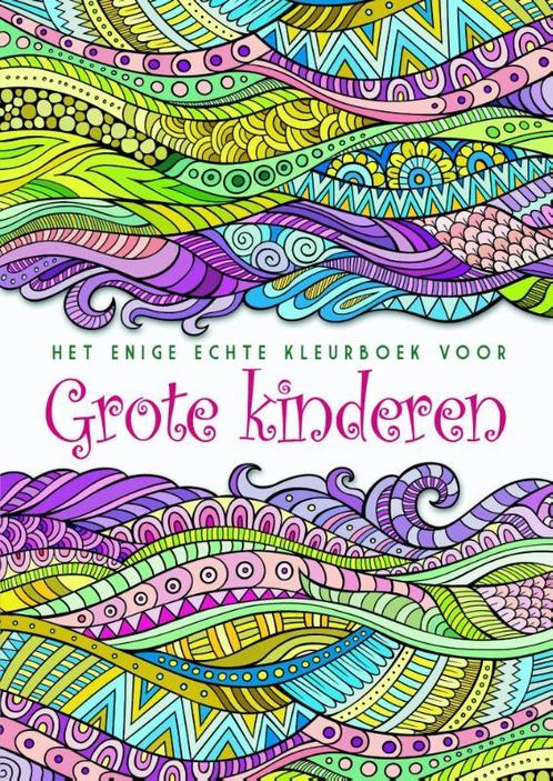 Het enige echte kleurboek voor grote kinderen 9789045317076, Boeken, Hobby en Vrije tijd, Gelezen, Verzenden