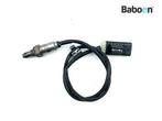 Lambda Sonde BMW R nineT 2020- (K21 20) (8405117), Verzenden, Gebruikt