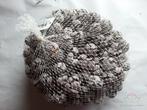 Cypressus Frosted 1 kilo Cypres, Ophalen of Verzenden, Nieuw