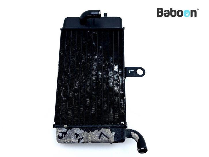 Radiateur Links Honda XRV 750 Africa Twin 1990-1992 (XRV750), Motoren, Onderdelen | Honda, Gebruikt, Verzenden