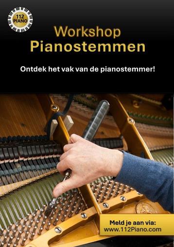 Piano | Op zoek naar een pianostemmer of zelf pianostemmen?! beschikbaar voor biedingen