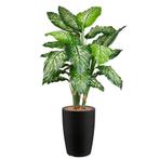 Dieffenbachia kunstplant, H140cm, Huis en Inrichting, Kamerplanten, Ophalen of Verzenden