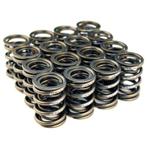 BLOX Racing Valve Springs for B18A-B / B20 (1.8L-2.0L DOHC), Ophalen of Verzenden, Nieuw