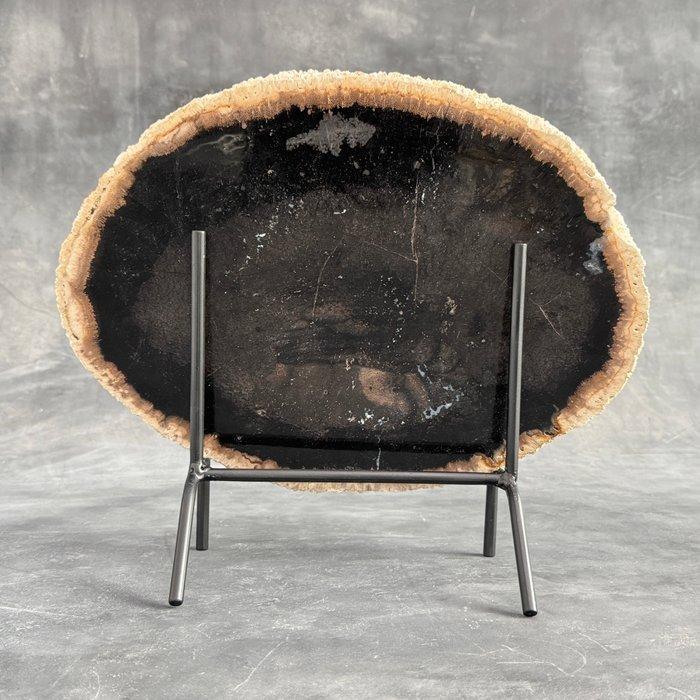 – C – Wonderlijke grote plak versteende palmwortel op een, Antiek en Kunst, Kunst | Designobjecten