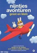 Nijntjes avonturen - Groot en klein deel 2 - DVD, Verzenden, Nieuw in verpakking