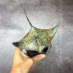 sculptuur, NO RESERVE PRICE - Patinated Bronze Manta Ray, Antiek en Kunst